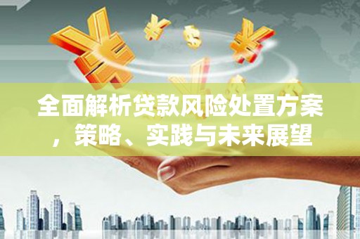 武义全面解析贷款风险处置方案，策略、实践与未来展望