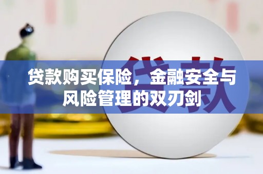 武义贷款购买保险，金融安全与风险管理的双刃剑