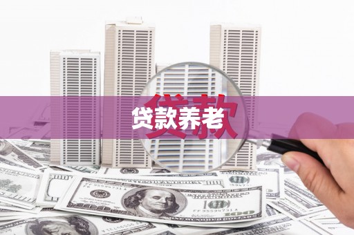 武义贷款养老