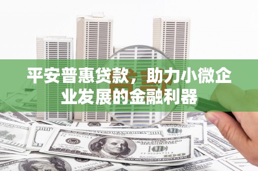 武义平安普惠贷款，助力小微企业发展的金融利器