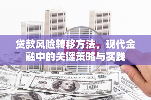 武义贷款风险转移方法，现代金融中的关键策略与实践