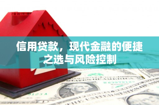 武义信用贷款，现代金融的便捷之选与风险控制