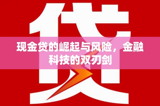 武义现金贷的崛起与风险，金融科技的双刃剑