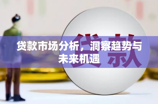 武义贷款市场分析，洞察趋势与未来机遇