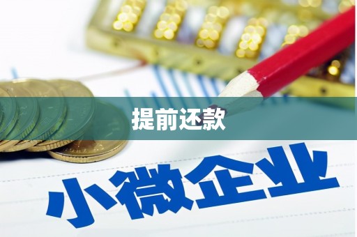 武义提前还款