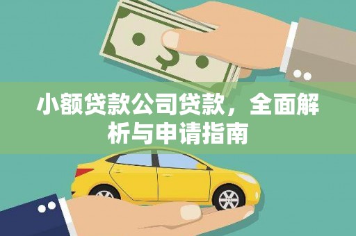 武义小额贷款公司贷款，全面解析与申请指南