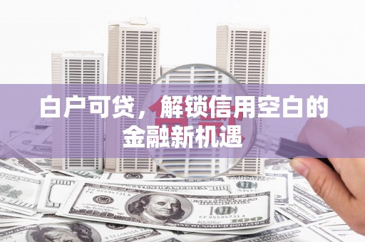 武义白户可贷，解锁信用空白的金融新机遇