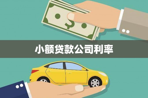 武义小额贷款公司利率