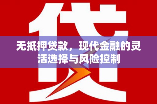 武义无抵押贷款，现代金融的灵活选择与风险控制