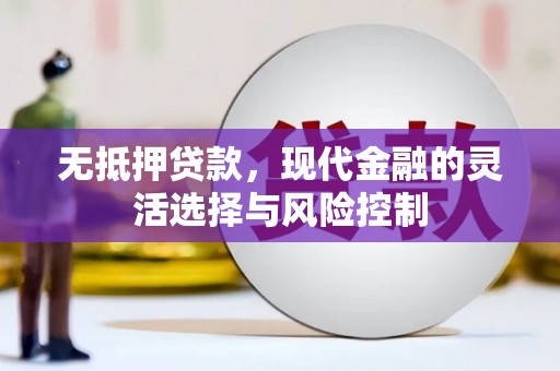 武义无抵押贷款，现代金融的灵活选择与风险控制
