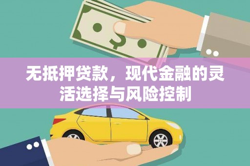 武义无抵押贷款，现代金融的灵活选择与风险控制
