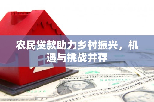 武义农民贷款助力乡村振兴，机遇与挑战并存