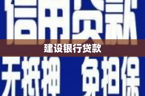 武义建设银行贷款