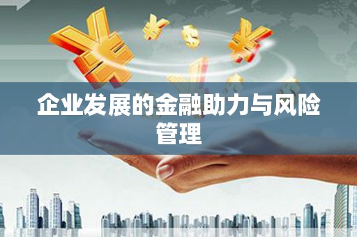 武义企业发展的金融助力与风险管理