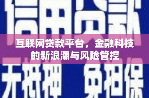 武义互联网贷款平台，金融科技的新浪潮与风险管控