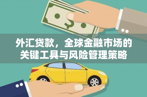 武义外汇贷款，全球金融市场的关键工具与风险管理策略