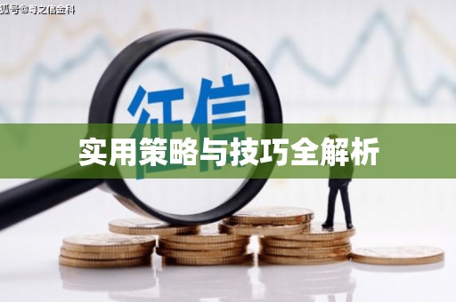 武义实用策略与技巧全解析