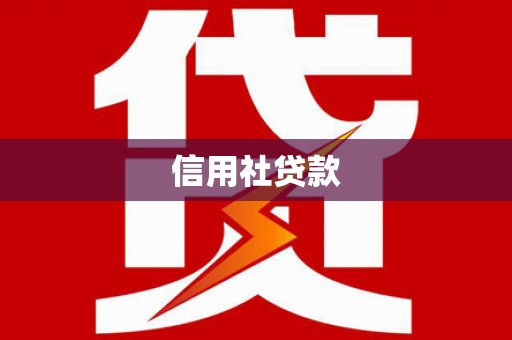 武义信用社贷款