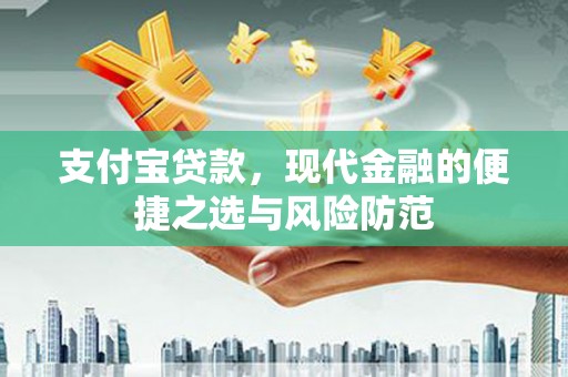 武义支付宝贷款，现代金融的便捷之选与风险防范