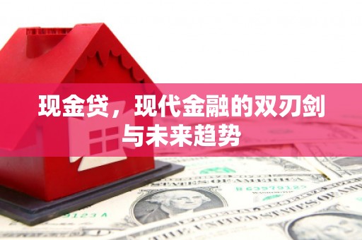 武义现金贷，现代金融的双刃剑与未来趋势