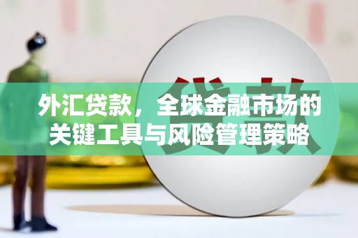 武义外汇贷款，全球金融市场的关键工具与风险管理策略