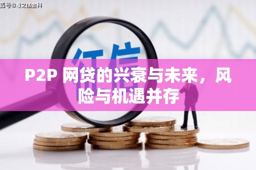 武义P2P 网贷的兴衰与未来，风险与机遇并存