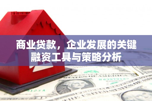 武义商业贷款，企业发展的关键融资工具与策略分析