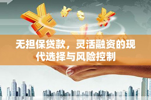 武义无担保贷款，灵活融资的现代选择与风险控制