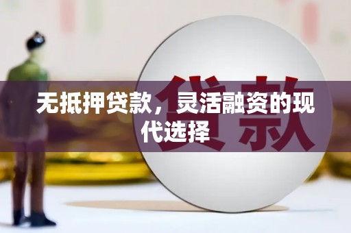 武义无抵押贷款，灵活融资的现代选择