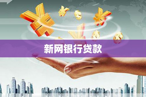 武义新网银行贷款