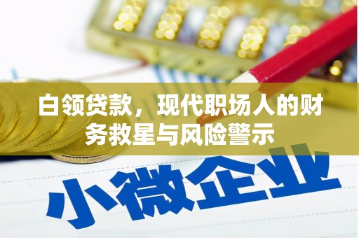 武义白领贷款，现代职场人的财务救星与风险警示