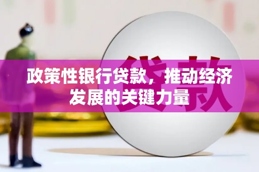 武义政策性银行贷款，推动经济发展的关键力量