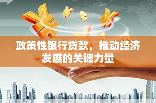 武义政策性银行贷款，推动经济发展的关键力量