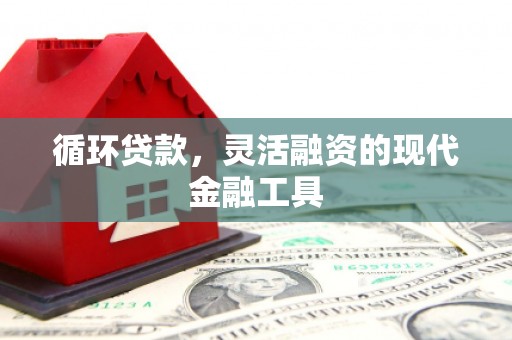 武义循环贷款，灵活融资的现代金融工具