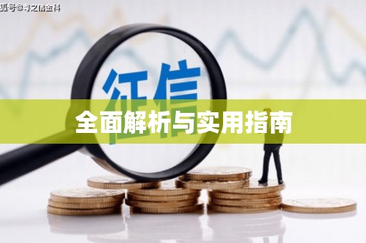 武义全面解析与实用指南