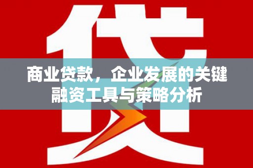 武义商业贷款，企业发展的关键融资工具与策略分析