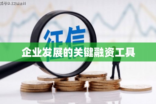 武义企业发展的关键融资工具