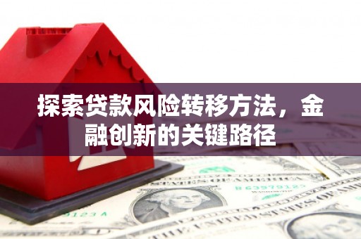 武义探索贷款风险转移方法，金融创新的关键路径