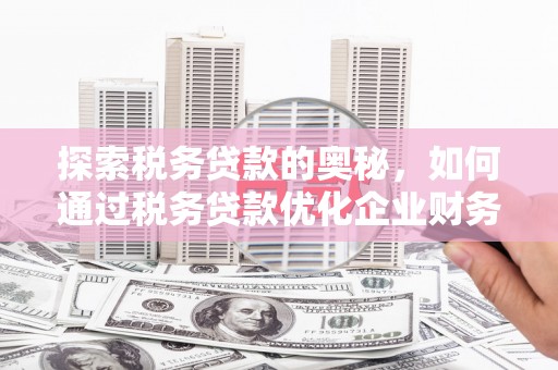 武义探索税务贷款的奥秘，如何通过税务贷款优化企业财务
