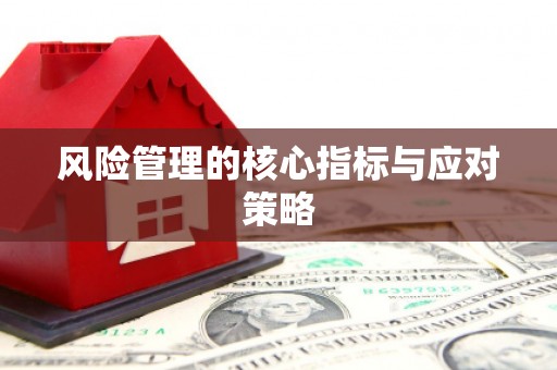 武义风险管理的核心指标与应对策略