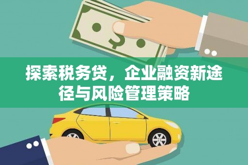武义探索税务贷，企业融资新途径与风险管理策略