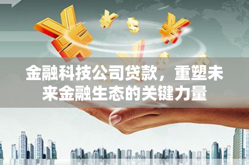 武义金融科技公司贷款，重塑未来金融生态的关键力量