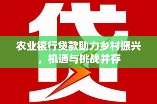 武义农业银行贷款助力乡村振兴，机遇与挑战并存