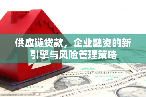 武义供应链贷款，企业融资的新引擎与风险管理策略