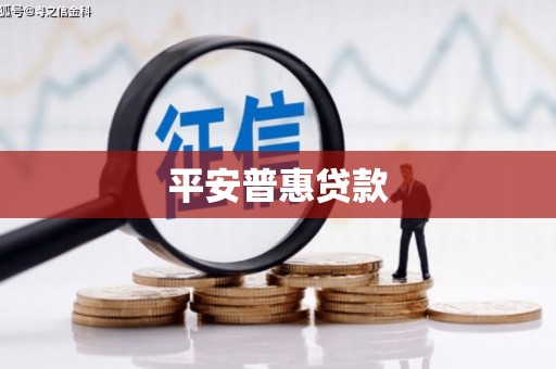武义平安普惠贷款