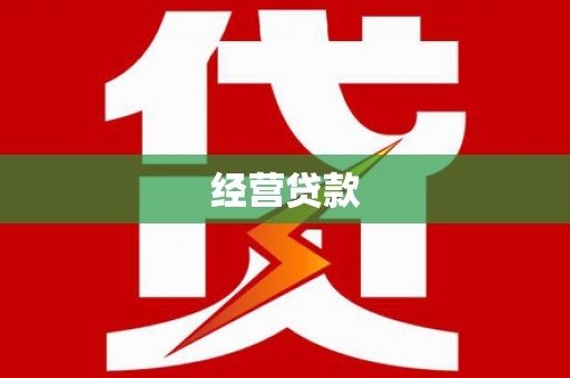 武义经营贷款
