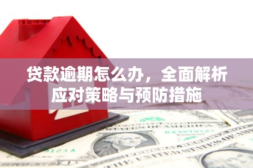 武义贷款逾期怎么办，全面解析应对策略与预防措施