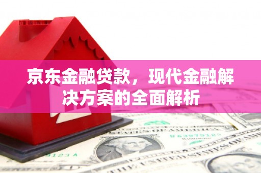 武义京东金融贷款，现代金融解决方案的全面解析