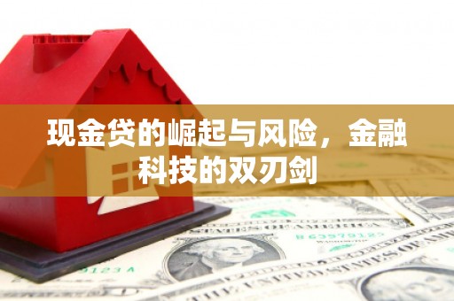 武义现金贷的崛起与风险，金融科技的双刃剑
