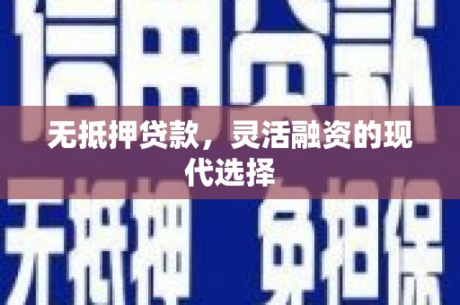 武义无抵押贷款，灵活融资的现代选择